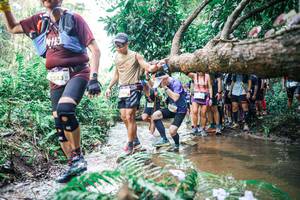 BIB: 
                            <button type="button" onclick="openModal(25470966)" class="btn btn-primary btn-sm float-right btn-popup" data-toggle="modal" data-target=".modal-high-quality">
                        <i class="fas fa-shopping-cart"></i> Add to Cart
                    </button>
                                            <button type="button" onclick="isThisMe(25470966, true)" class="btn btn-success btn-sm float-right btn-popup btn-isme hidden" data-toggle="tooltip" data-placement="bottom" title="นี่คือรูปของคุณใช่ไหม คลิกที่นี่เพื่อเอาเข้าอัลบั้ม">
                        <i class="fas fa-plus"></i> Add to album
                    </button>
                    <button type="button" onclick="isThisMe(25470966, false)" class="btn btn-warning btn-sm float-right btn-popup btn-isnotme hidden">
                        <i class="fas fa-ban"></i> Remove from album
                    </button>